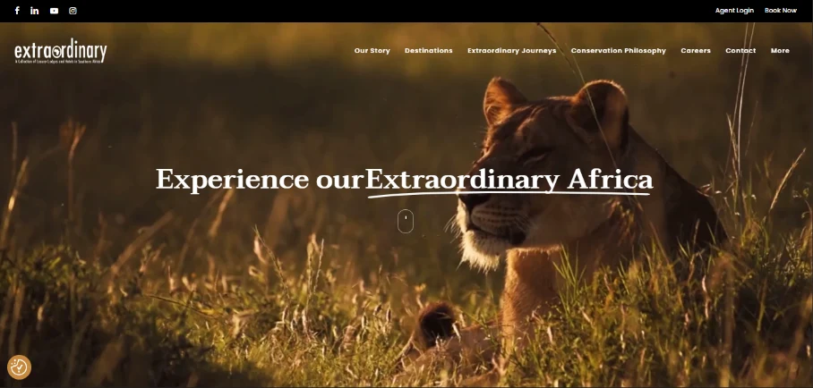 Extraordinary portfolio website example